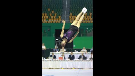 La Jornada Maya Yucatán La Jornada Maya Yucatán gana medallas de