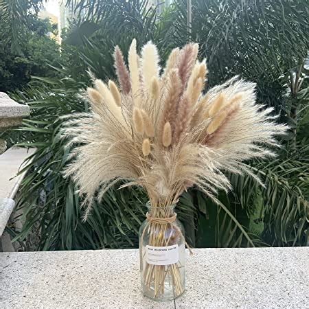 Amazon Natural Dried Pampas Grass Boho Home Decor Bouquet