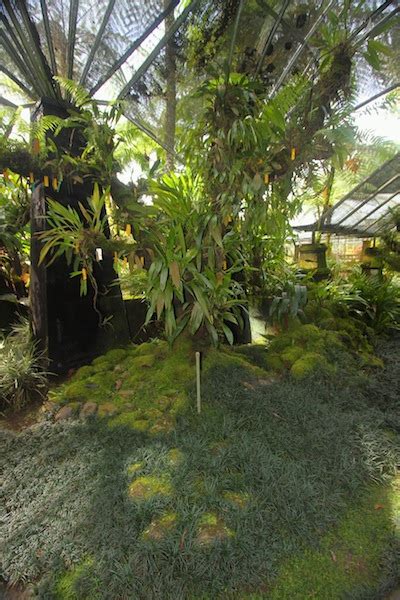 Bali Botanic Garden - Asian Itinerary