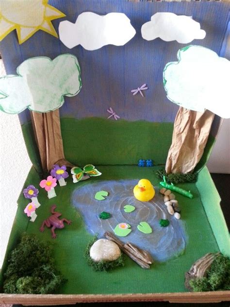 Pond Ecosystem Habitats Projects Landform Projects Kindergarten Themes