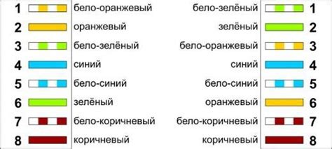 Два способа обжима витой пары - полезные инструкции