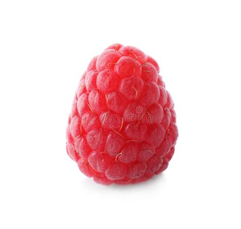 Delicious Fresh Ripe Raspberry Isolated Stock Photo Image Of Ripe