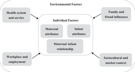 Determinants For Breastfeeding—an Adapted Conceptual Framework