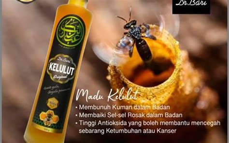 Madu Asli Lebah Kelulut Manfaat Dan Keajaiban Dari Lebah Yang Kecil Namun Dahsyat Desa Bhuana