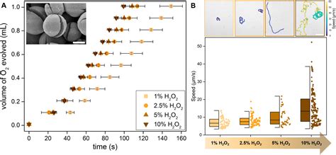 Combining Photocatalytic Collection And Degradation Of Microplastics