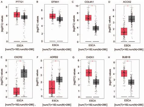 Box Plots Of Escc And Normal Tissue Expression Levels In The Cancer