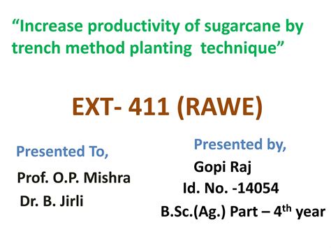 Sugarcane Trench Method Planting Ppt Free Download