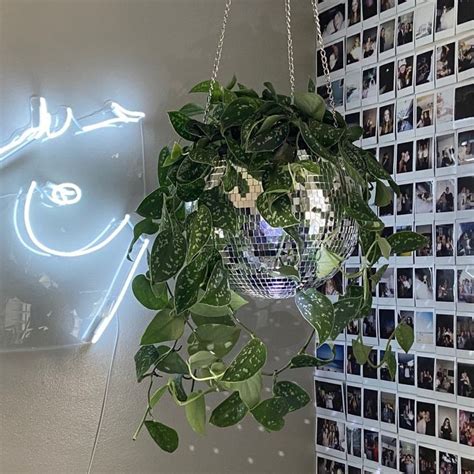 Disco Planter Hanging Disco Planter Hanging Wall Planter Mirror Ball