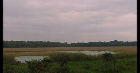 GUERRA DO PARAGUAI CAMPANHA NO MATO GROSSO DO SUL A CAMINHO DO APA