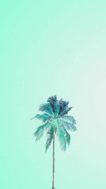 Summer Lock Screen Iphone Wallpapers Palm Trees 53 Ideas