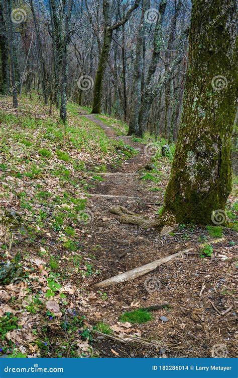 Hiking Trail in the Blue Ridge Mountains Stock Photo - Image of meadow ...