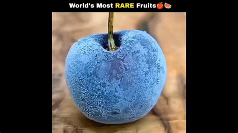 World's most rare fruits.