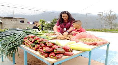 Feria Del Campo Soberano Favorece A Familias Del Estado M Rida