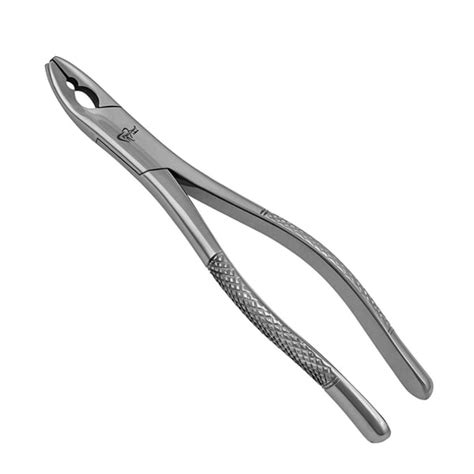 Prodent Usa As Serrated Universal Upper Extracting Forceps Net