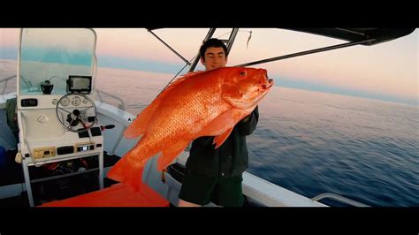 Insane Great Barrier Reef Fishing Red Emperor Coral Trout 96cm