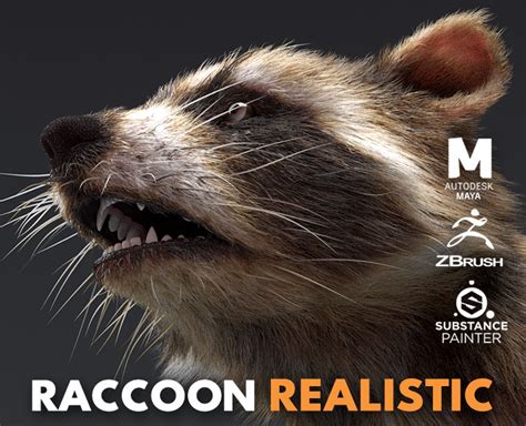 Raccoon Realistic - FlippedNormals