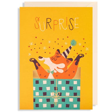 Surprise Greetings Card By Lydia Nichols For Lagom Design Greeting