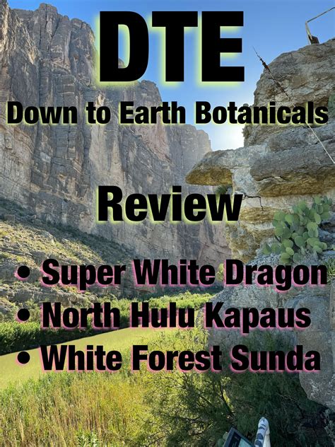 DTE (Down to Earth) REVIEW : r/Vendorsofkratom2