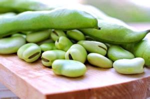 Фасоль: Описание, Польза и Вред для Нашего Здоровья +Отзывы