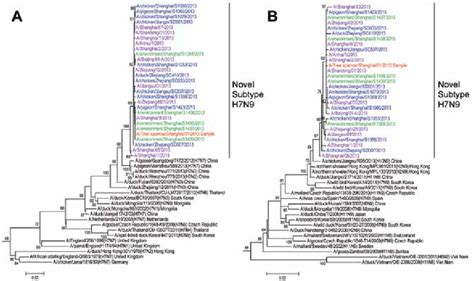 Phylogenetic Tree Of The Hemagglutinin A And Neuraminidase B Genes