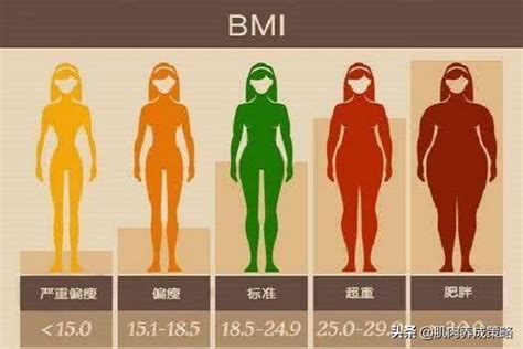 體重指數bmi大於23怎麼辦？如何降低bmi，可以這麼做 每日頭條