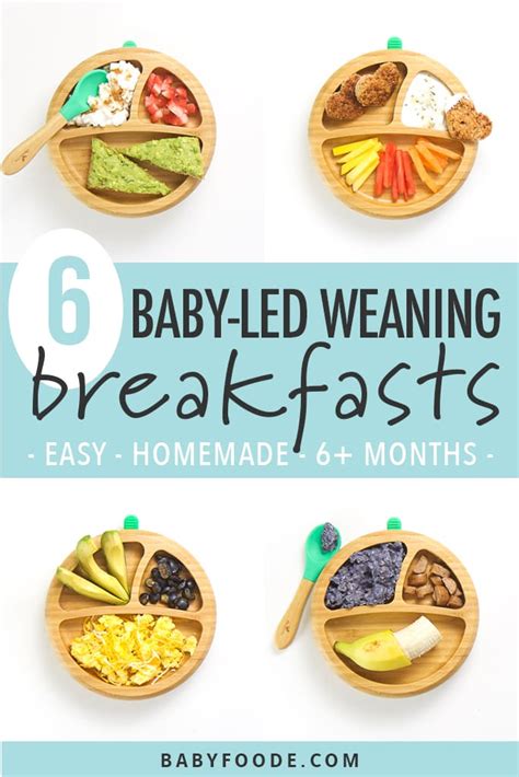 Finger Food Ideas For 6 Month Old Baby | Deporecipe.co