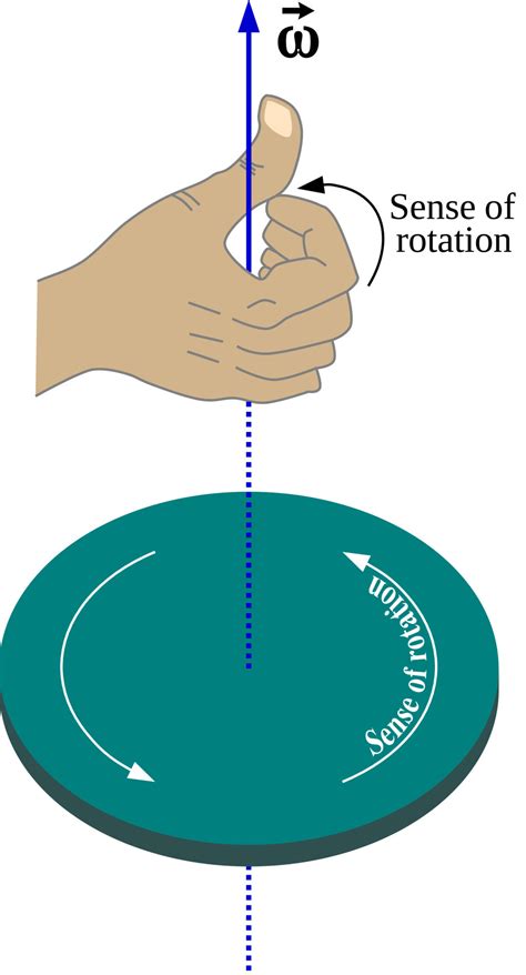 Right hand rule states that the direction of angular velocity and of angular momentum 13725912 ...