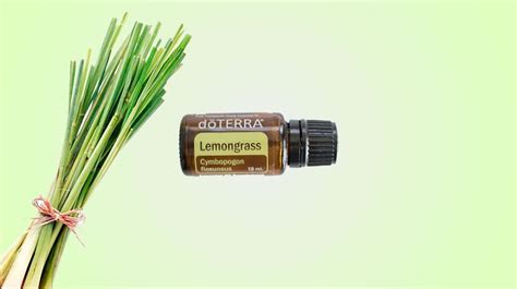 Óleo Essencial Lemongrass Capim Limão Doterra 5ml Parcelamento sem juros