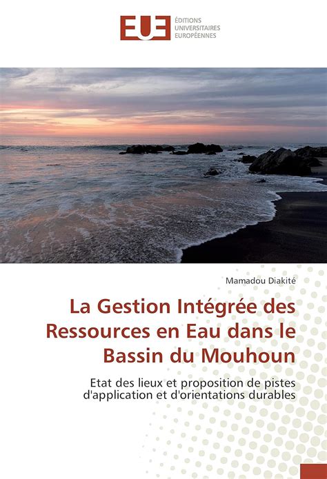 La Gestion Integree Des Ressources En Eau Dans Le Bassin Du Mouhoun