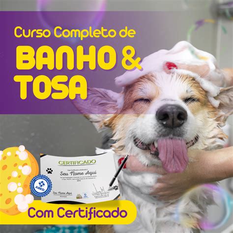 Curso De Banho E Tosa Valor - 7