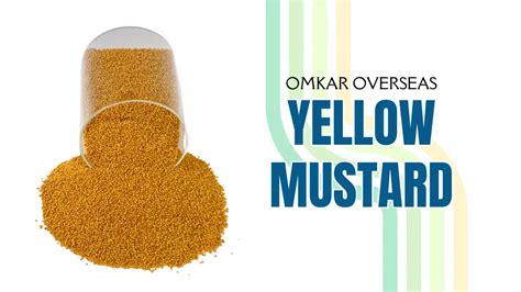 Best Quality Whole Yellow Mustard Seeds Omkar Overseas Whole Yellow