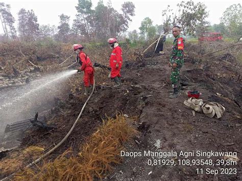 Kebakaran Hutan Dan Lahan Terluas Di Kalimantan Barat Dan Ntt Dari Laut