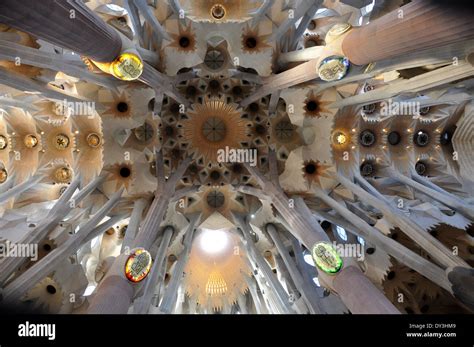 Sagrada Familia Ceiling Hi Res Stock Photography And Images Alamy