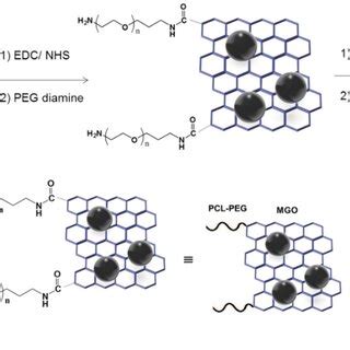 Coupling Of Polyethylene Glycol Peg Diamine And Photocleavable Linker