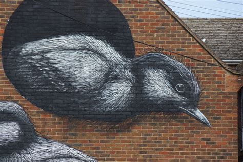 Birds Roa Street Artist Baffins Lane Chichester West Flickr