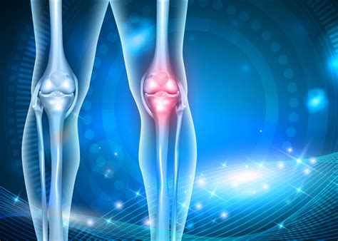 Osteoarthritis - News, Articles, Whitepapers - Drug Target Review