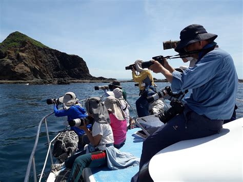 『2024澎湖四季旅遊』春之賞鷗季－跳島賞岩賞鷗樂 歡迎熱烈報名！ 澎湖e傳媒