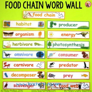 Simple Food Web In Words