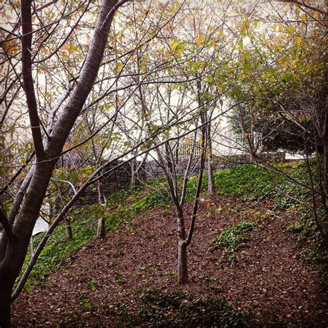 Savor Home: October 2012