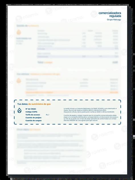 Gas Power Factura Entenderla Descargarla Y Pagarla