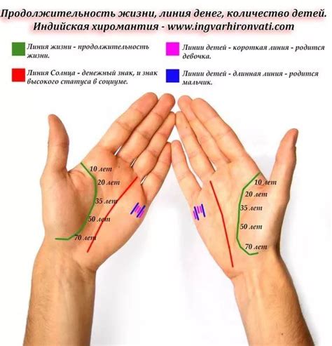 Расшифровать руку по линиям по фото