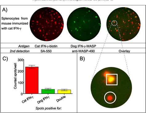 Figure From An Antigen Specific Four Color B Cell Fluorospot Assay