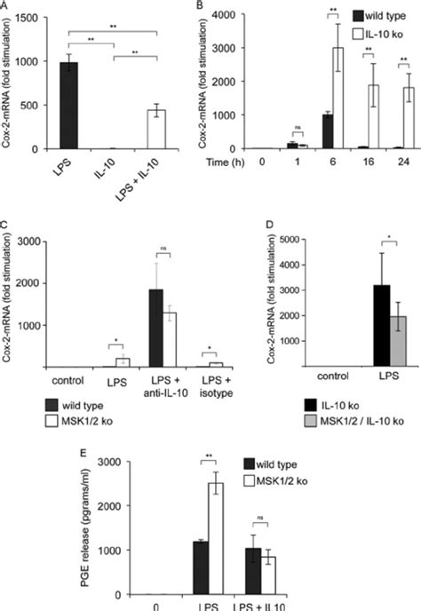 Role Of IL 10 In Cox 2 MRNA Induction And PGE Release A BMDMs