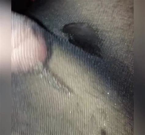 Cum In Pantyhose Gay Man Man Porn Xhamster