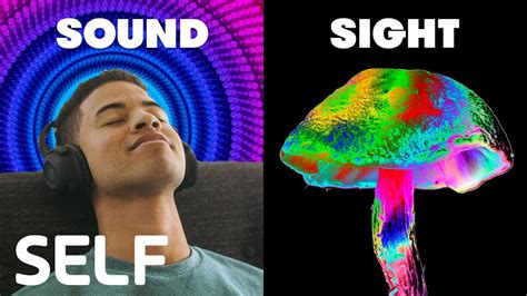 How Magic Mushrooms Affect The 5 Senses Through The Senses SELF