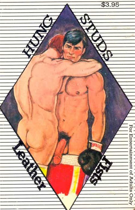 Random Images From The Golden Age Of The Gay Paperback Novel Aquadude Bunker