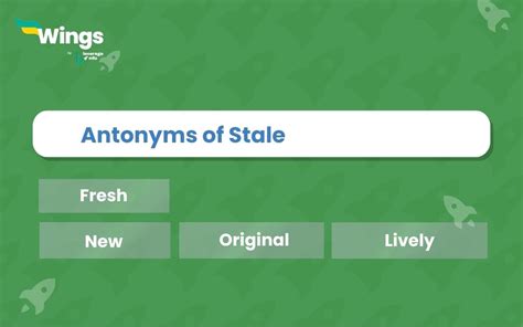 9+ Antonyms of Stale with Meaning and Examples | Leverage Edu