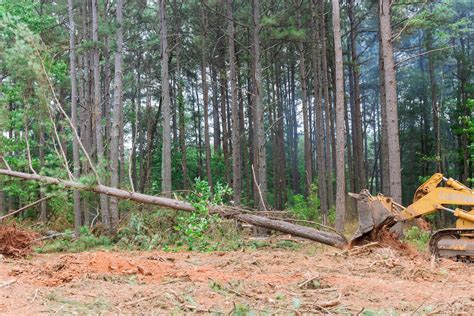 Land Clearing And Excavation The Benefits For Your Property