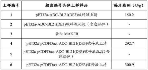 重组大肠杆菌表达l 天冬氨酸 α 脱羧酶的载体和方法与流程