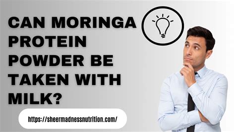 Buy Best Protein Powder For Muscle Gain Sheermadnessnutrition Moringa Protein Plant Powered